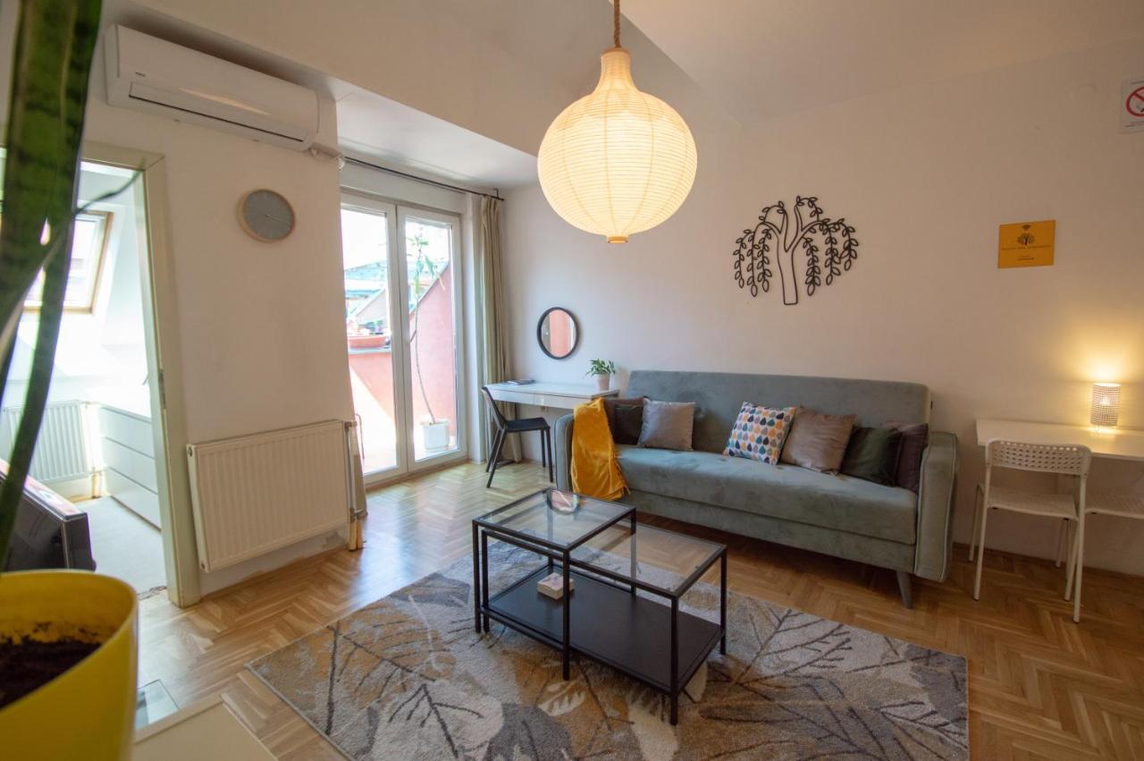 Spacious 1-Bedroom Apartment Novi Sad Extérieur photo